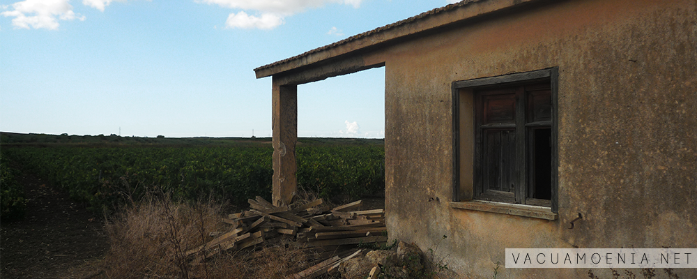 Borgo Dagala Fonda 29 Borgo Dagala Fonda, Mazara del Vallo, Trapani, Riforma Agraria, Sicilia, VacuaMoenia
