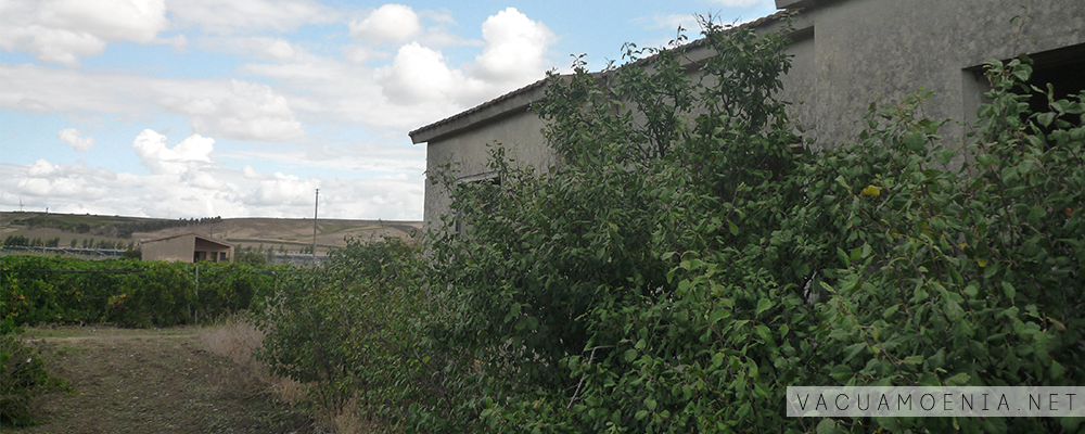 Borgo Dagala Fonda 22 Borgo Dagala Fonda, Mazara del Vallo, Trapani, Riforma Agraria, Sicilia, VacuaMoenia