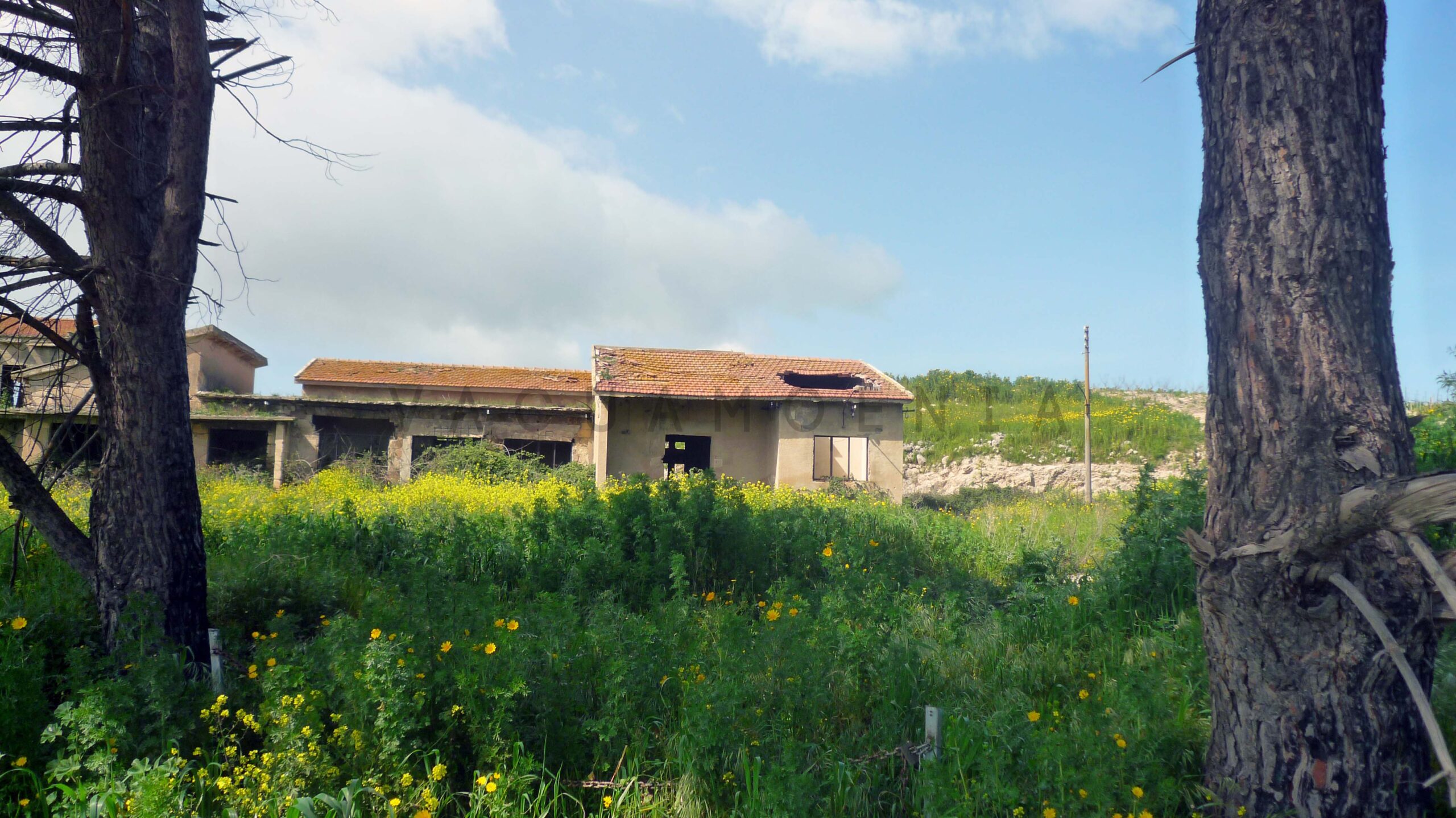 Borgo Gurgazzi 14 borgo gurgazzi 1132023 52744418646 o scaled