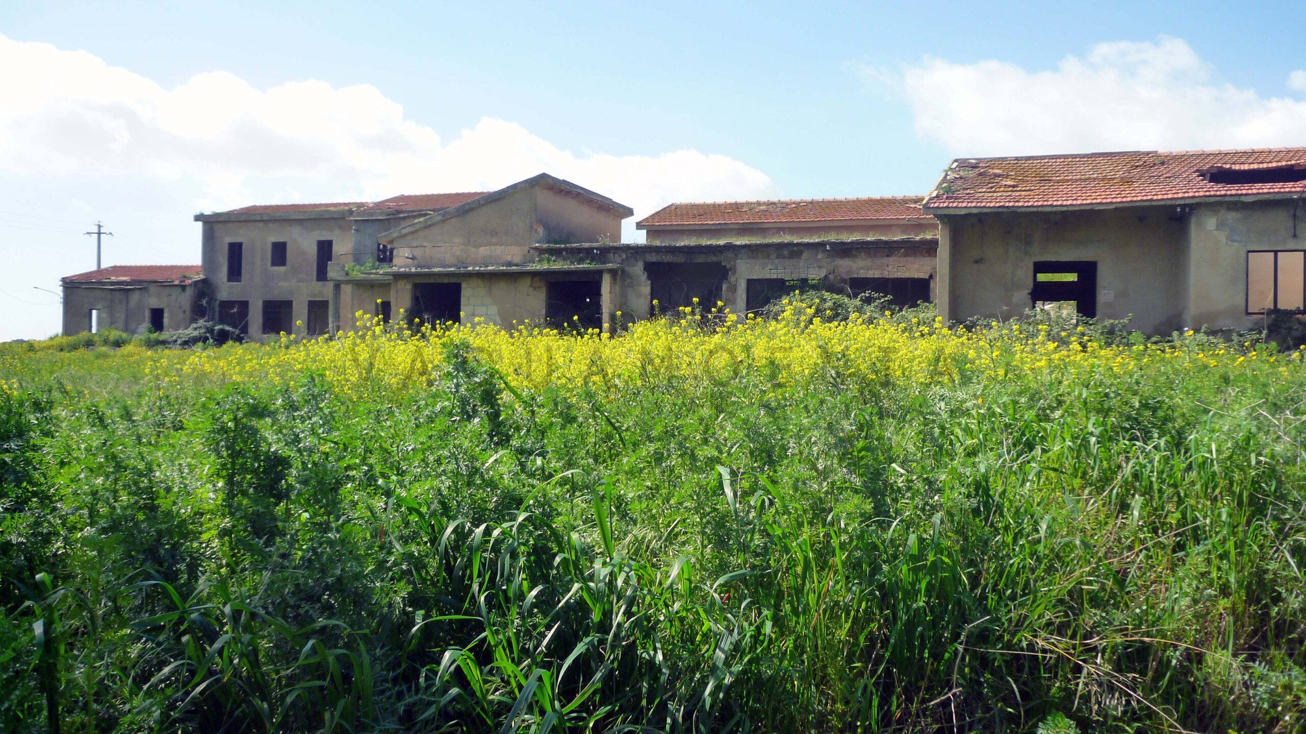 Borgo Gurgazzi 8 borgo gurgazzi 1132023 52744837130 o scaled