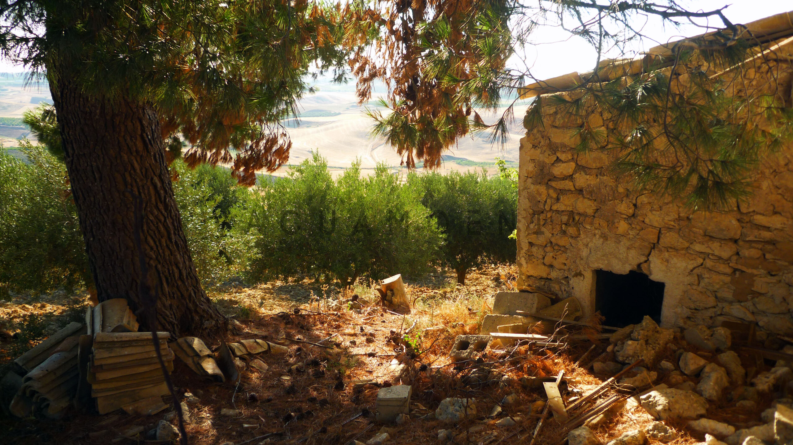 Borgo Santa Rita 47 borgo santa rita, caltanissetta, barone la lumia, sicilia, riforma agraria, vacuamoenia