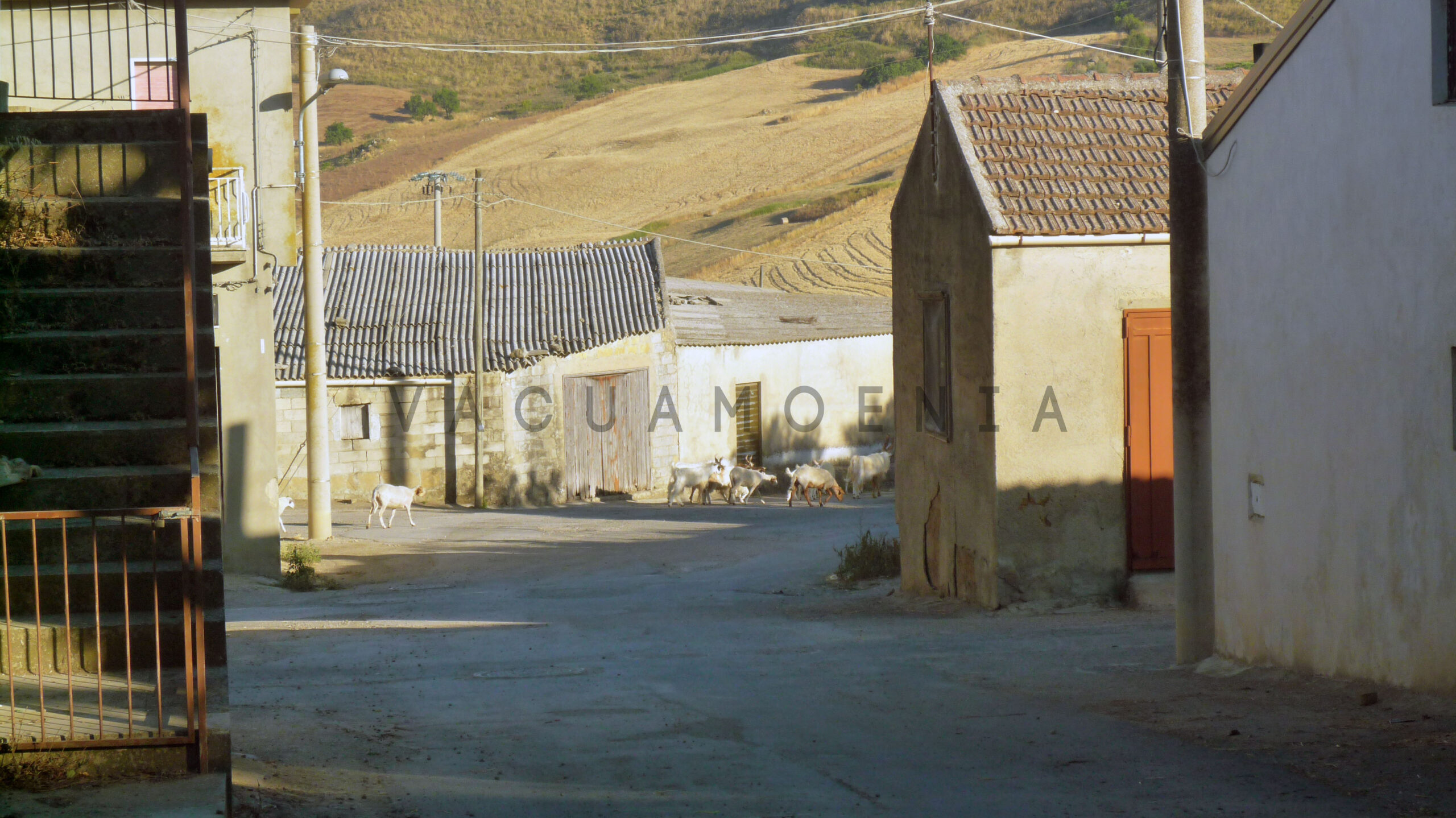 Borgo Santa Rita 1 borgo santa rita, caltanissetta, barone la lumia, sicilia, riforma agraria, vacuamoenia