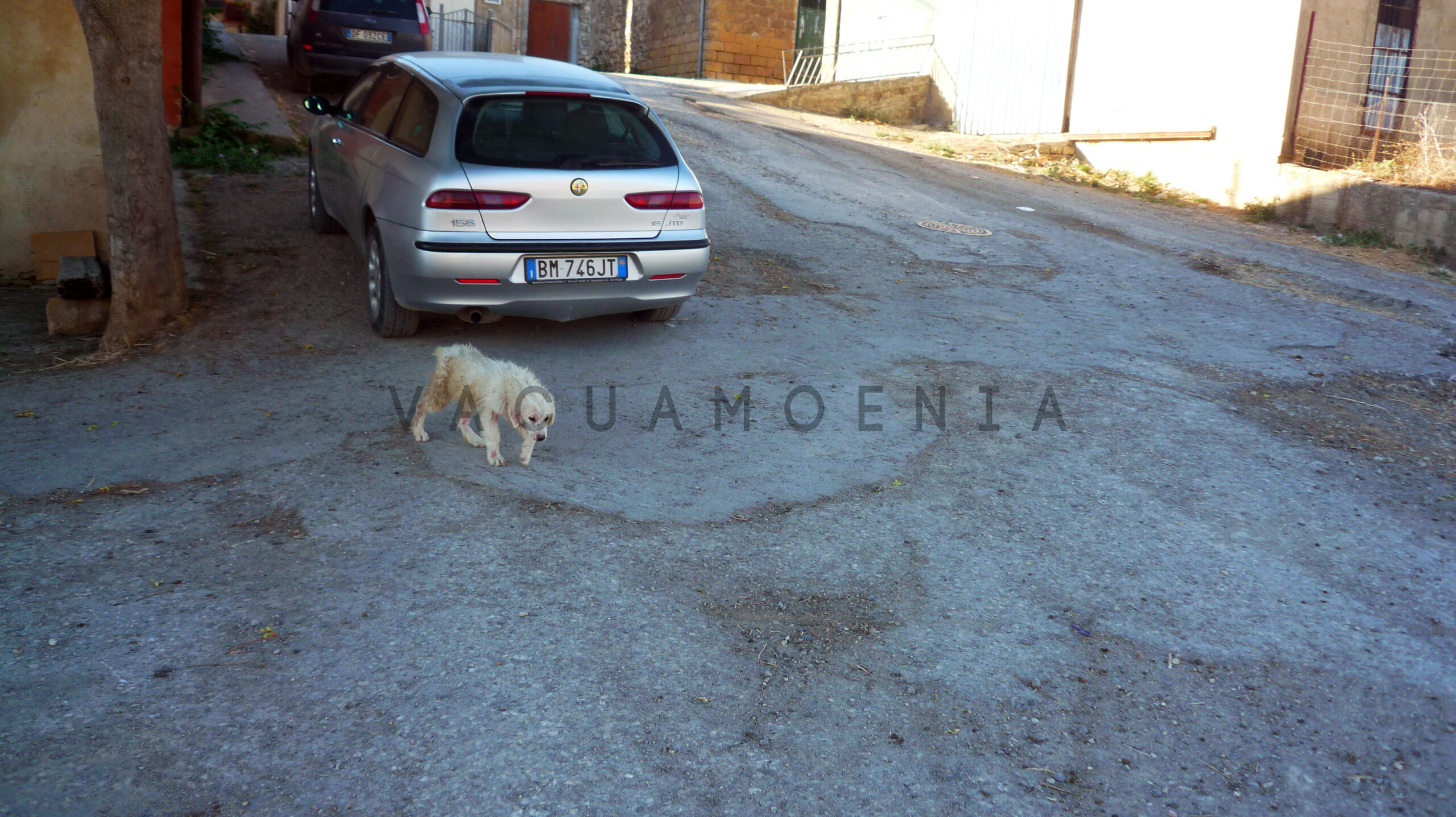 Borgo Santa Rita 38 borgo santa rita 2019 2022 52504290870 o scaled